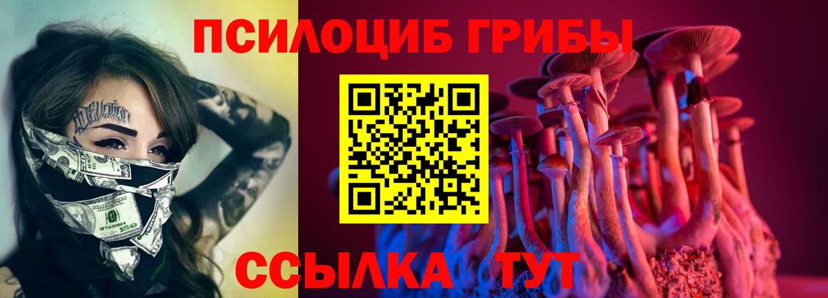Галлюциногенные грибы Psilocybine cubensis  Вход с VPN  наркота  Железногорск 
